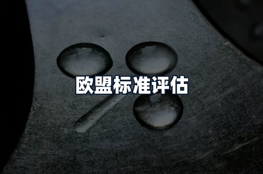 欧盟标准评估